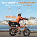 ENGWE EP-2 BOOST Folding Electric Bike 20" Fat Tyre 250W 48V Free Gifts