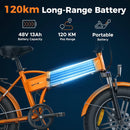 ENGWE EP-2 BOOST Folding Electric Bike 20" Fat Tyre 250W 48V Free Gifts