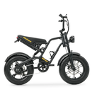 Hidoes B6 Mini Folding Electric Bike 250W 48V 16" Fat Tyre E-Bike