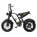 Hidoes B6 Mini Folding Electric Bike 250W 48V 16" Fat Tyre E-Bike