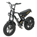 Hidoes B6 Mini Folding Electric Bike 250W 48V 16" Fat Tyre E-Bike