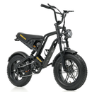 Hidoes B6 Mini Folding Electric Bike 250W 48V 16" Fat Tyre E-Bike