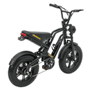 Hidoes B6 Mini Folding Electric Bike 250W 48V 16" Fat Tyre E-Bike