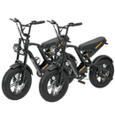 Hidoes B6 Mini Folding Electric Bike 250W 48V 16" Fat Tyre E-Bike