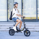 Hidoes C5 Electric Bike 250W Motor 36V Battery 25km/h Foldable