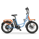 Hidoes C6 Electric Bike 250W 36V 13Ah 20" Fat Tyre E-Bike