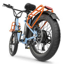 Hidoes C6 Electric Bike 250W 36V 13Ah 20" Fat Tyre E-Bike
