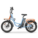 Hidoes C6 Electric Bike 250W 36V 13Ah 20" Fat Tyre E-Bike
