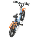 Hidoes C6 Electric Bike 250W 36V 13Ah 20" Fat Tyre E-Bike