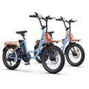 Hidoes C6 Electric Bike 250W 36V 13Ah 20" Fat Tyre E-Bike