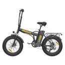 Hidoes F3 Electric Bike 250W 48V 13Ah Fat Tyre Foldable E-Bike 2025