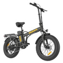 Hidoes F3 Electric Bike 250W 48V 13Ah Fat Tyre Foldable E-Bike 2025