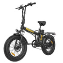 Hidoes F3 Electric Bike 250W 48V 13Ah Fat Tyre Foldable E-Bike 2025