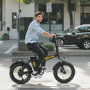 Hidoes F3 Electric Bike 250W 48V 13Ah Fat Tyre Foldable E-Bike 2025