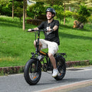 Hidoes F3 Electric Bike 250W 48V 13Ah Fat Tyre Foldable E-Bike 2025