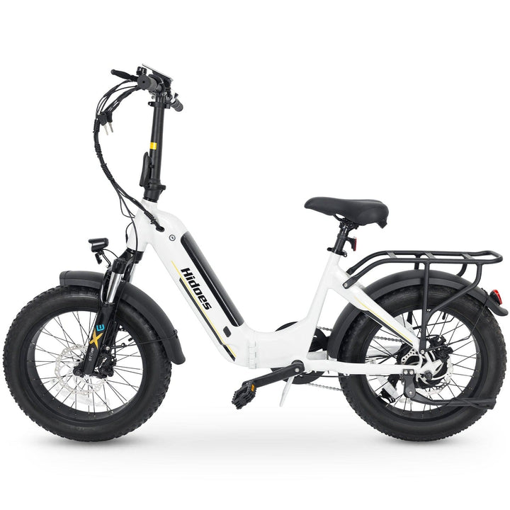 Hidoes BF1 20